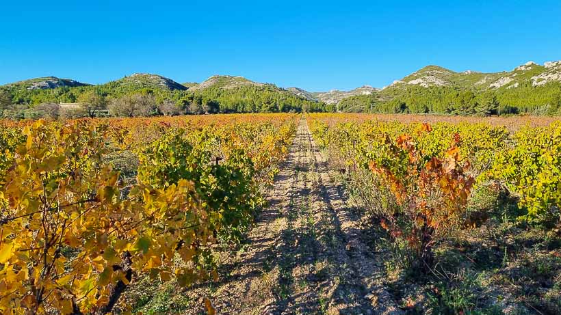 Vin bio AOP Baux de Provence du domaine Mas de Gourgonnier à Mouriès