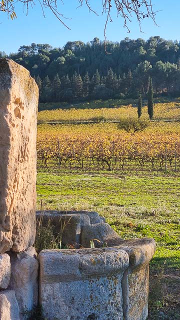 Vin AOP Baux de Provence du domaine Mas de Gourgonnier à Mouriès
