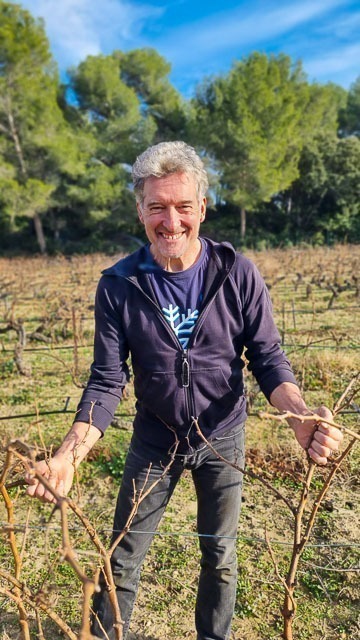 Vignoble bio à Noves - Domaine du Devès