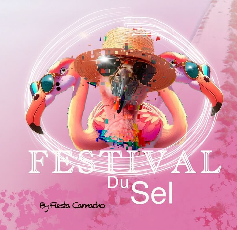 Festival du Sel 2026 à Salin de Giraud