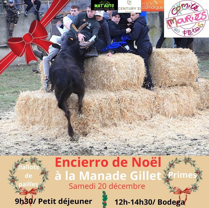 Encierro de noël 2025 de Mouriès à la manade Gillet