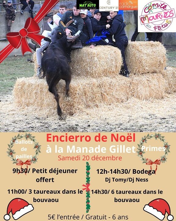 encierro-noel-mouries-2025 Encierro de noël 2025 de Mouriès à la manade Gillet