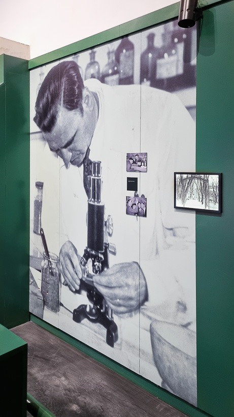 Musée Paul Ricard au domaine de Méjanes en Camargue