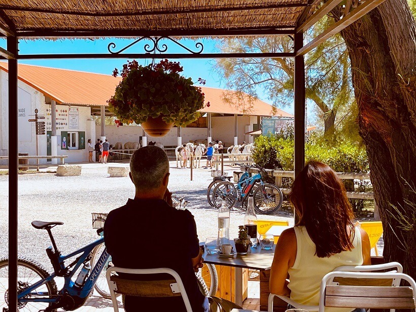 Apéro en terrasse au restaurant La Bergerie de Méjanes en Camargue