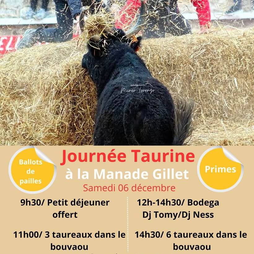 Journée taurine Décembre 2025 à Mouriès