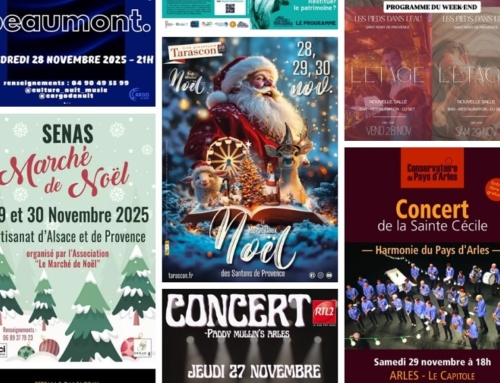 Les Sorties du week-end sur Arles, la Camargue et les Alpilles