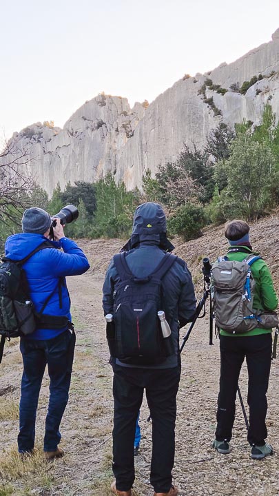 Guide Randonnée et Vélo dans les Alpilles et en Camargue - Rythm'Alpilles Maria Bertilsson