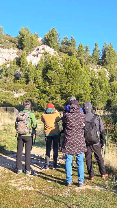 Guide Randonnée et Vélo dans les Alpilles et en Camargue - Rythm'Alpilles Maria Bertilsson
