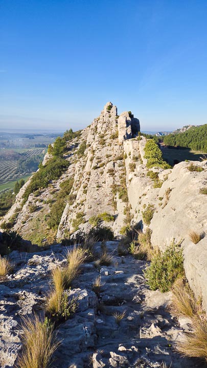 Guide Randonnée et Vélo dans les Alpilles et en Camargue - Rythm'Alpilles Maria Bertilsson