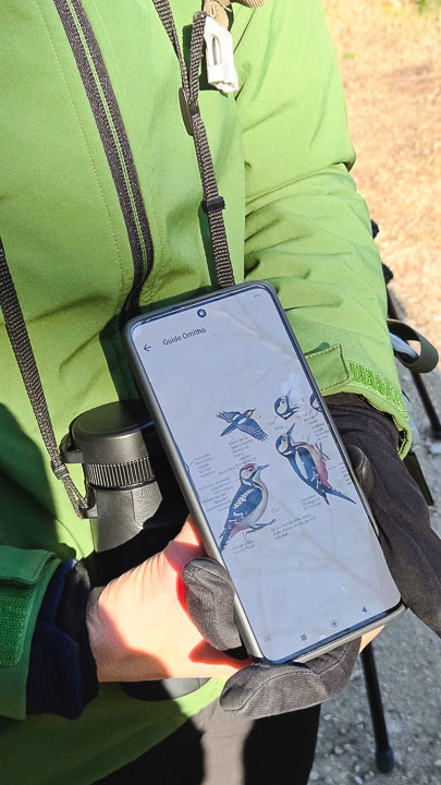 Guide Randonnée et Vélo dans les Alpilles et en Camargue - Rythm'Alpilles Maria Bertilsson