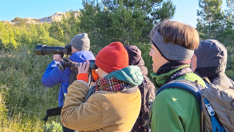 Guide Randonnée et Vélo dans les Alpilles et en Camargue - Rythm'Alpilles Maria Bertilsson