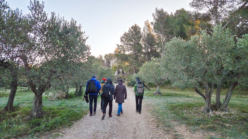 Guide Randonnée et Vélo dans les Alpilles et en Camargue - Rythm'Alpilles Maria Bertilsson