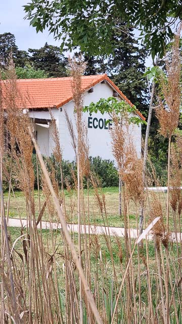 Les Maisons de Méjanes en Camargue, locations saisonnières ouvertes toute l'année