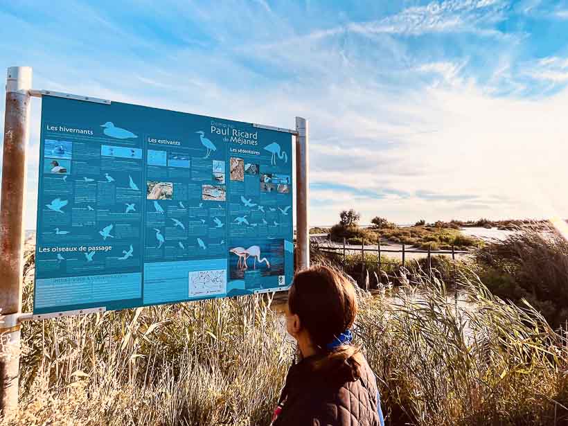 Les Maisons de Méjanes en Camargue, locations saisonnières ouvertes toute l'année