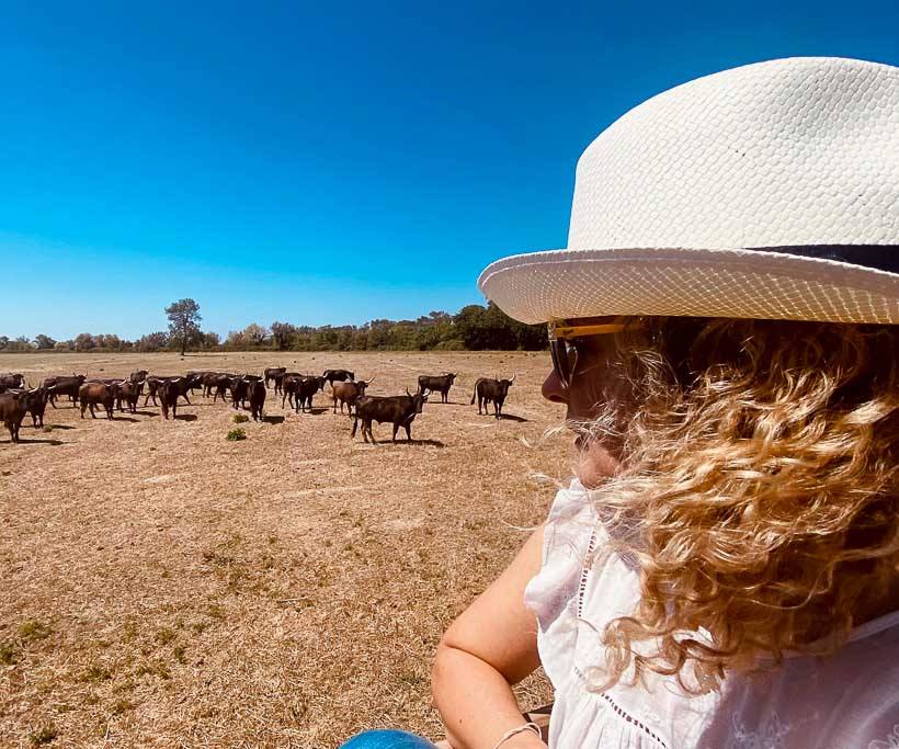 Les Maisons de Méjanes en Camargue, locations saisonnières ouvertes toute l'année