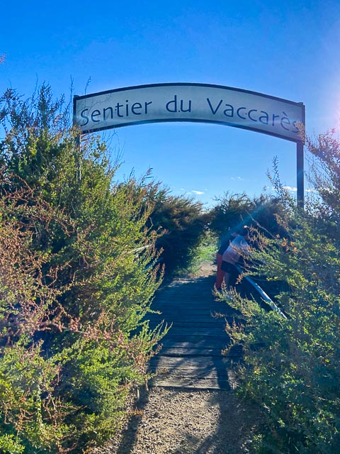 Les Maisons de Méjanes en Camargue, locations saisonnières ouvertes toute l'année