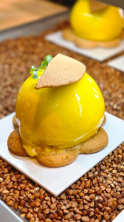 Pâtisserie COSMOS à Arles - Gâteaux vegan, végétarien et sans gluten