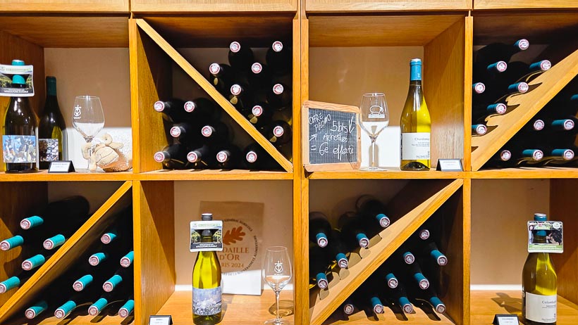 Domaine viticole Isle Saint Pierre en Camargue